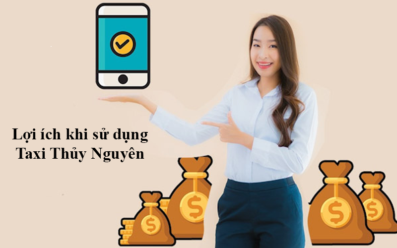 loi-ich-dat-xe-taxi-thuy-nguyen.png